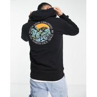 ราคา The North Face Seasonal back print hoodie in black (203218794)