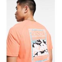 ราคา The North Face Faces Denali back print t-shirt in orange (204491612)