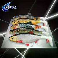 ราคา ANFS 2pcs ชุดตกปลา 3D 14 ซม./5.5 นิ้วเหยื่อประดิษฐ์ SHAD PIKE Perch Zander Catfish Fishing Tackle isca ประดิษฐ์ (1005007635399218)