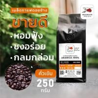 ราคา เมล็ดกาแฟคั่ว ดอยช้าง arabica 100% บดฟรี (7536275766)
