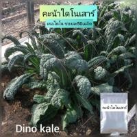 ราคา เมล็ดเคลคะน้าไดโนเสาร์50เมล็ด .kale dino (2235573442)