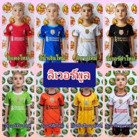 ราคา ชุดบอลเด็ก ลิเวอร์พูล ราคาถูก มีของพร้อมส่ง (5319318425)