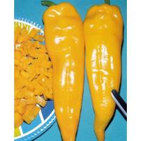 ราคา 20 เมล็ด พริกหวานเขากระทิงสีเหลือง (1926571460)