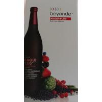 ราคา บียอนด์ มากิ พลัส+ (beyonde MAQUI PLUS+) 2 ขวด ใบ EXP 08/08/2022 (3354035058)