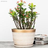 ราคา กระถางต้นไม้เซรามิกขนาดใหญ่พิเศษสีเขียว (2943844972)