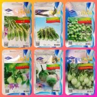 ราคา เมล็ดพันธุ์ผัก เจียไต๋ ผักซอง 9 บาท มะเขือคางกบรักบี้ มะเขือไข่เต่าเขียว มะเขือพวง เปราะจาว มะเขือเจ้าพระยา มะเขือตอแหล (3833602294)