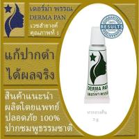ราคา ครีมแก้ปากดำ ครีมปากชมพู ครีมทาปากเดอร์มา เหมาะกับทุกสภาพผิว เดอร์ม่า พรรณ DERMA PAN หลอดเขียว ทาก่อนนอน (188461663)