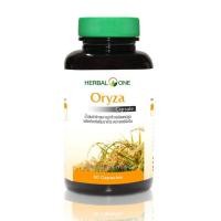 ราคา ผลิต 03/2021 โอไรซา น้ำมันรำข้าวและจมูกข้าว อ้วยอันโอสถ เฮอร์บัลวัน Oryza Herbal One 60 แคปซูล ของแท้ (1873503382)