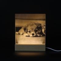 ราคา 【Spot】โคมไฟ Led รูปลูกสุนัขน่ารักสําหรับตกแต่งห้องนอน (5191978251)