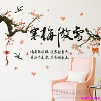 ราคา สติกเกอร์ติดผนังลอกออกได้คุณภาพดีตกแต่งบ้านลาย Cold Mei Pride Snow Living Room (3345717952)