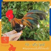 ราคา ถูกจริง ไก่สวยจริง‼️ราคาตัวละ ตุ๊กตาไก่ ตุ๊กตาไก่ขน ไก่ขน #ไก่งามเพราะขน ไก่หิ้ง ไก่แก้บน (2393792057)