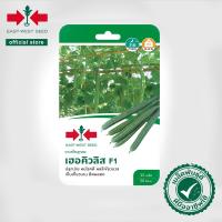 ราคา ศรแดง เฮอคิวลิส F1 เมล็ดพันธุ์บวบเหลี่ยม (East-West Seed) เมล็ดพันธุ์ผัก เมล็ดพันธุ์ ผักสวนครัว ตราศรแดง (6335805397)