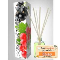 ราคา ก้านไม้หอมอโรม่า กลิ่น blackcurrant ขนาด 50 มิล (130752513)