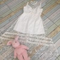 ราคา Areeya อารียา .......... (2887155213)