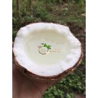 ราคา มะพร้าวกะทิทับสะแก มะพร้าวกะทิทุกลูก สวนมาเอง (2391780960)