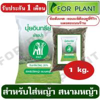ราคา ปุ๋ยอินทรีย์ ชนิดเม็ด (ของแท้ต้องดูที่คะแนนร้าน) ตราช้างป่า สูตรสำหรับหญ้า สนามหญ้า(อบแห้งฆ่าเชื้อ)บรรจุ 1 กิโลกรัม (3127085782)
