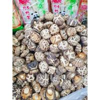 ราคา เห็ดหอมญี่ปุ่น #ดอกเล็ก (มีหลายขนาด) สินค้าใหม่ นิยมนำมาประกอบอาหารได้หลากหลาย แหล่งวัตถุดิบจากเยาวราช100% (3953341794)