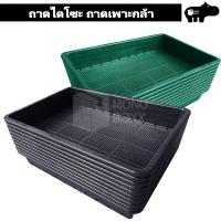 ราคา ถาดไดโซะ 10ใบ ถาดเพาะแคคตัส ถาดเพาะกล้า ถาดเพาะต้นอ่อน (6077785479)