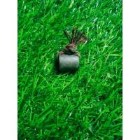 ราคา ตะกรุดลูกอมหัวใจโลกธาตุ หลวงปู่ใจ วัดเสด็จ เครื่องรางของขลัง (6787895868)