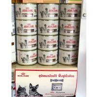 ราคา Royal canin Recovery โฉมใหม่สูตรเดิม อาหารเปียกสำหรับสุนัข แมวป่วย หลังผ่าตัด (1011629972)