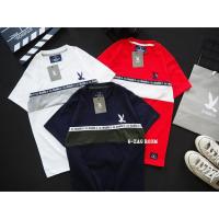 ราคา ลายใหม่ชนช๊อป เสื้อยืดงานปัก งานป้าย CC OO Cotton 100 SMLXL No 36 (9616185289)