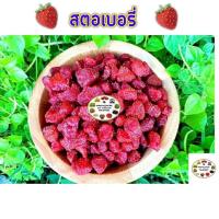 ราคา สตอเบอรี่อบแห้ง 1 กิโล (894147650)
