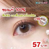 ราคา คอนแทคเลนส์ Mini Bom Brown Bom Black Kitty Kawaii ขนาดมินิ (4771867579)