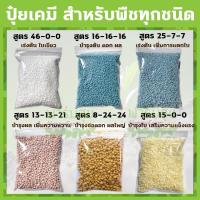 ราคา ปุ๋ยเคมี 150 กรัม สูตร 46 0 0 16 16 16 25 7 7 8 24 24 13 13 21 15 0 0 15 15 15 16 20 0 ปุ๋ยอินทรีย์ ออสโมโค้ท (3154461181)