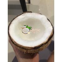 ราคา มะพร้าวกะทิทับสะแก By Nam Aoy มะพร้าวกะทิแท้ทุกลูก (2293349704)