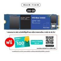 ราคา WD BLUE SN550 250GB SSD NVMe M 2 2280 5Y MS6 110 Internal Solid State Drive (3243119759)
