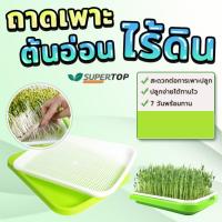 ราคา ถาดเพาะต้นอ่อน ไร้ดิน hydrosprouts ไม่ต้องใช้ดิน เพาะต้นอ่อนทานตะวัน ต้นอ่อนข้าวสาลี ผักบุ้ง โตวเหมี่ยว ฯลฯ (4440073238)
