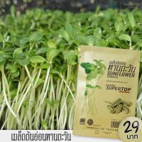 ราคา 29 บาท เมล็ดต้นอ่อนทุกชนิด โคตรถูก ต้นอ่อนทานตะวัน ผักบุ้ง ข้าวสาลี โตวเหมี่ยว ไควาเระ เบบี้คะน้า10 100กรัม (4577667636)