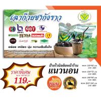 ราคา ป้ายไวนิล เฉาก๊วยชากังราว ราคาถูก (5261794632)