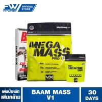 ราคา VITAXTRONG BAAM MASS V1 WHEY PROTEIN เวย์โปรตีน ขนาด 12 LBS เพิ่มน้ำหนัก สร้างกล้ามเนื้อ (1891513473)