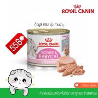 ราคา Royal Canin กระป๋อง mother baby cat 195g รอยัลคานิน สูตรแมวแรกเกิดและแม่แมวให้นมลูก (4693641473)