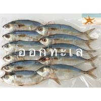 ราคา ปลาทูหอมขาว แม่กลอง เค็มน้อยกว่าปลาทูหอม แพ็คละ 11 ตัว 100 บาท อ่านลายละเอียดก่อนสั่ง (988551440)
