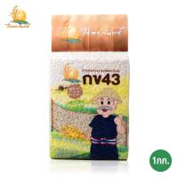 ราคา ข้าวกล้อง กข43 แท้ 100 บรรจุ 1 กก ตราไร่พระจันทร์ moonricefarm ข้าวกล้องกข43 ข้าวกข43 ดัชนีน้ำตาลต่ำ (7415770151)