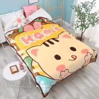 ราคา ผ้าห่มขนมิ้ง 5ฟุต เกรดพรีเมียม ความหนาผ้า 2 ชั้น นุ่มมาก หนา (9039009229)