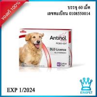 ราคา 60เม็ด Antinol dog 60 เม็ด วิตามินบำรุงข้อสำหรับสุนัขทุกสายพันธุ์ หมดอายุ 04 2024 (13703043256)