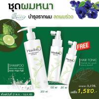 ราคา ส่งฟรี Havilah แชมพูสูตรสมุนไพรสด 100ml 300ml แก้ผมร่วง ขจัดรังแค แฮร์ โทนิค ปลูกผม เร่งผมยาว 100ml (3830511802)