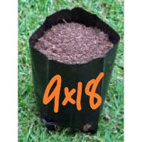 ราคา ถุงเพาะชำสีดำ ขนาด 9x18 นิ้ว 1 กก 1 กก มีประมาณ 18 25ใบ (6635604124)