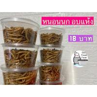 ราคา หนอนอบแห้ง 20กรัม หนอนนก หนอนนกอบแห้ง อาหารเสริมแฮมเตอร์ เม่นแคระ ชูก้า (8111878461)