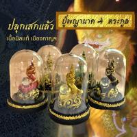 ราคา ปลุกเสกแล้ว ปู่ พญานาค แก้วสารพัดนึก นิลแท้ ครอบแก้ว ปู่ศรีสุทโธ มีผ้ายันต์ใต้ฐาน พญานาคตั้งโต๊ะ พญานาคหน้ารถ (8915872573)