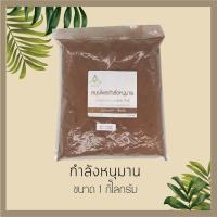 ราคา สมุนไพร กำลังหนุมาน ผง (6801028190)