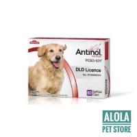 ราคา อาหารเสริมบำรุงข้อ และลดอักเสบ EXP 04 2024 สำหรับสุนัข 60 แคปซูล แอนตินอล (10103878031)