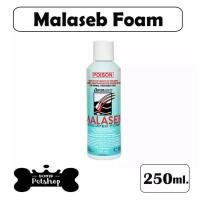 ราคา Malasebมาลาเซ็บ shampoo 250 ml Exp 11 2022 Dermcare แชมพู อาบ ฟอก ผิวหนัง เชื้อรา ยีสต์ สุนัข หมา แมว 1 ขวด (11762642993)