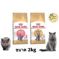 ราคา Royal canin British shorthair Kitten Adult 2kg (1895100915)