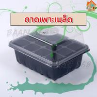 ราคา ถาดเพาะเมล็ด ถาดเพาะกล้า กล่องเพาะเมล็ดแบบมีฝาปิด เพราะต้นอ่อน มี 2 ขนาดให้เลือก 6 หลุม และ 12 หลุม (9904605387)