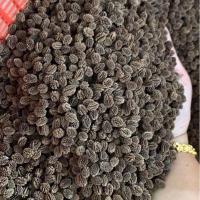 ราคา ถูกที่สุด 100 เมล็ด เมล็ดพันธุ์มะละกอของแท้ จากสวนผู้ปลูกโดยตรง (11402870759)