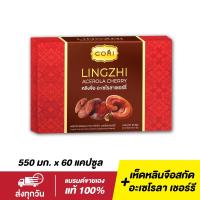 ราคา ส่งทุกวัน CORI เห็ดหลินจือแดง ชนิดสกัด 500 มก ผสมอะเซโรล่า เชอร์รี่ 60แคป เห็ดหลินจือ เห็ดหลินจือแคปซูล หลินจือ (4573319645)